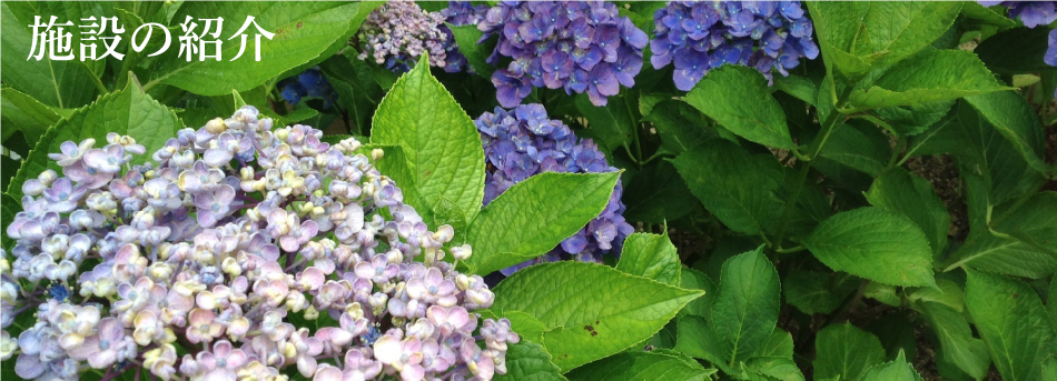 施設の紹介