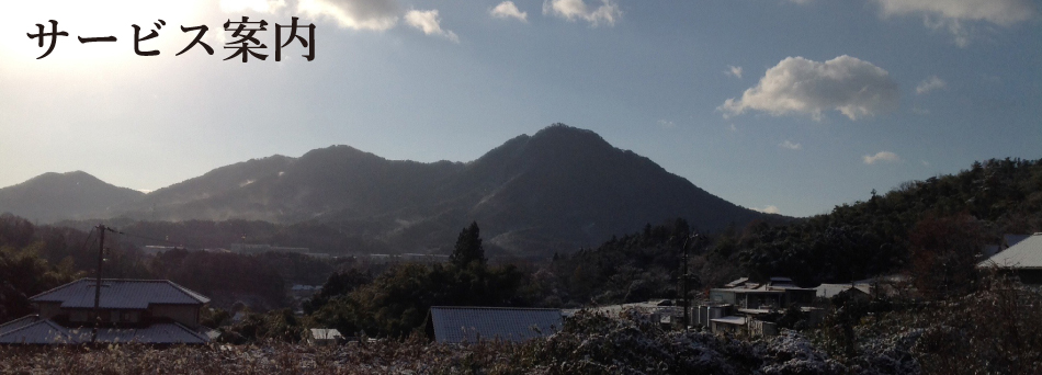 サービス案内